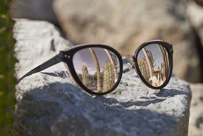 Abbott Lyon 250 Sunglasses Black & Gold SOLD OUT!